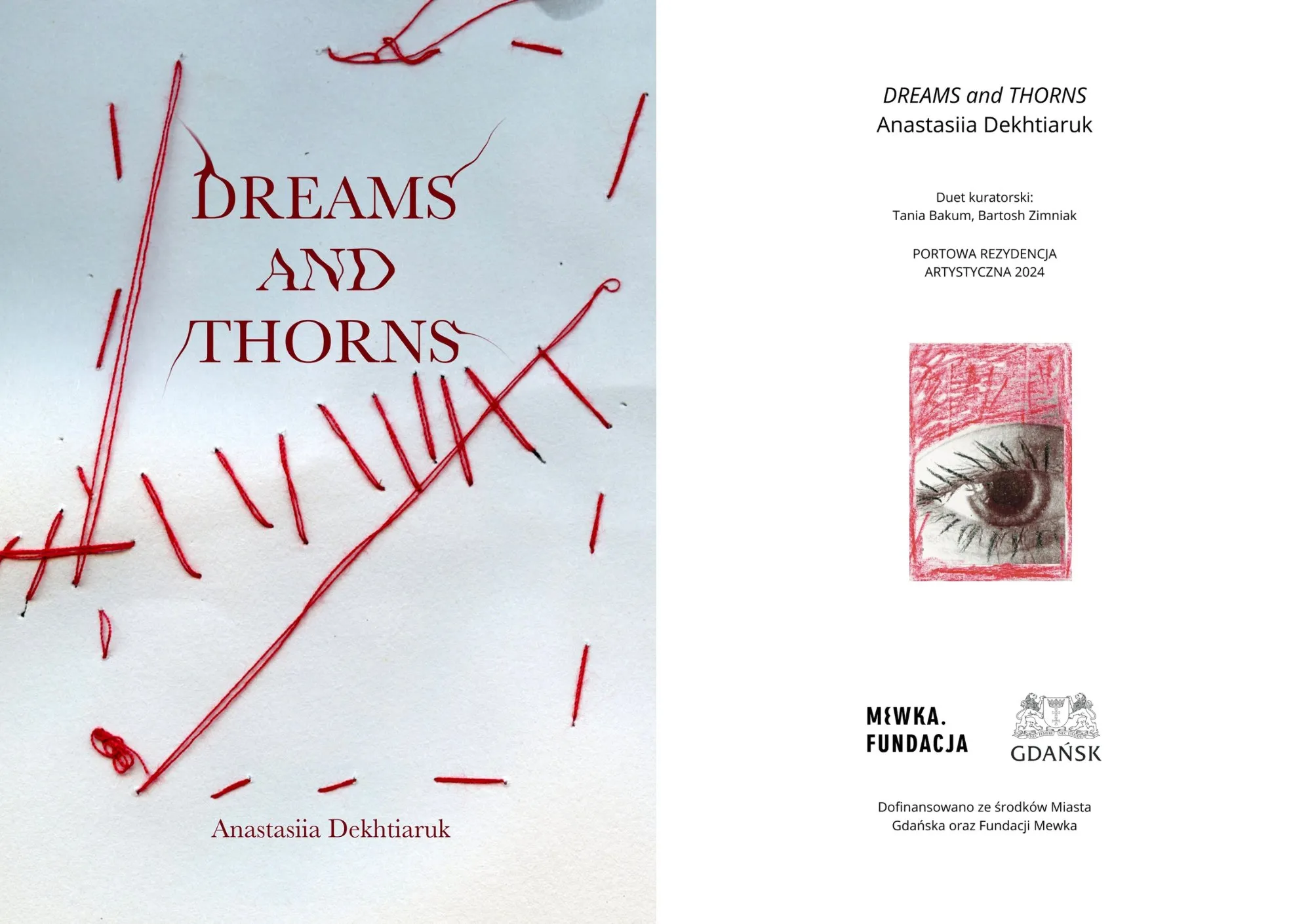 Cover of the art book Dreams and Thorns