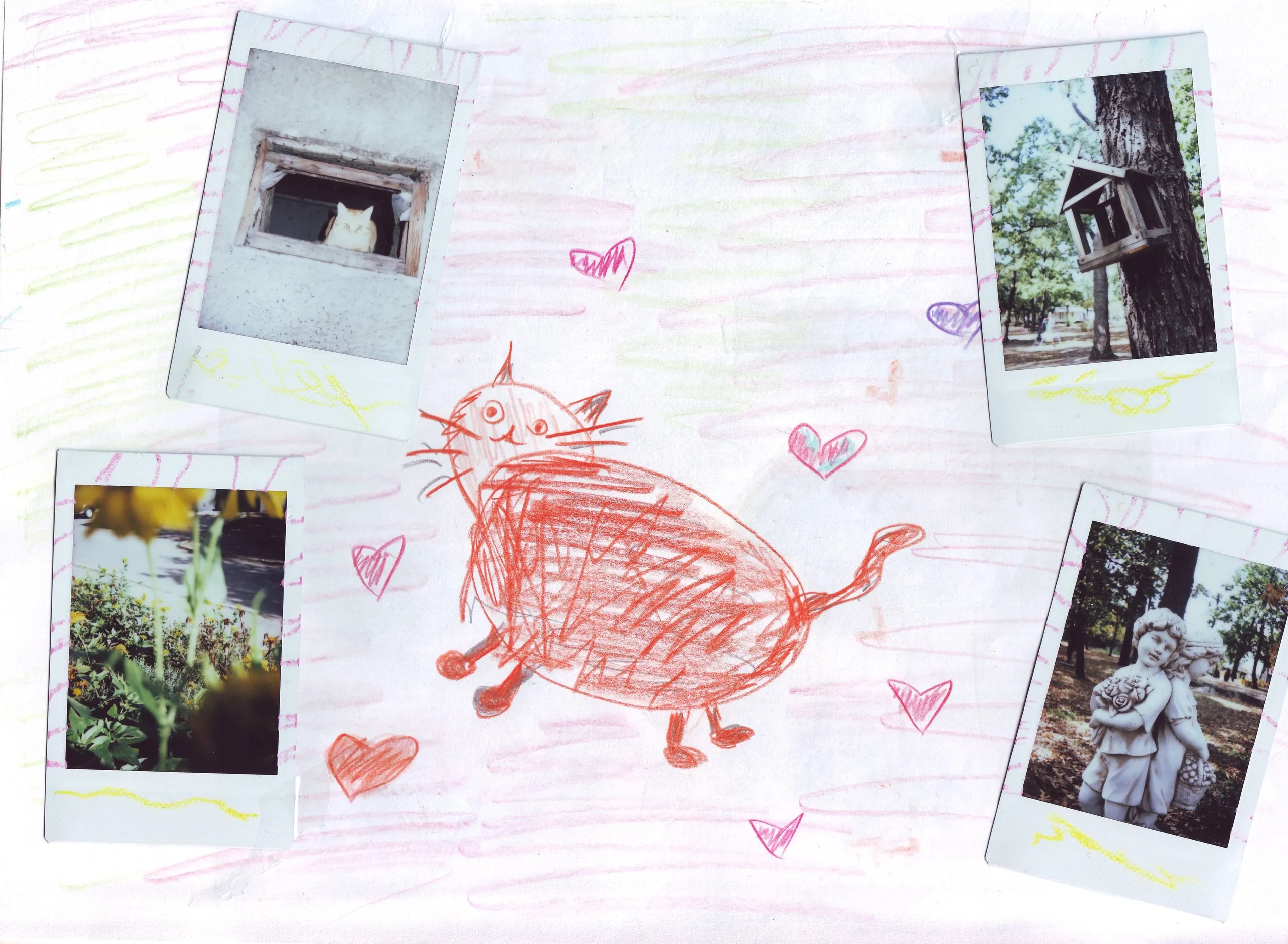 Drawing of a cat with polaroids