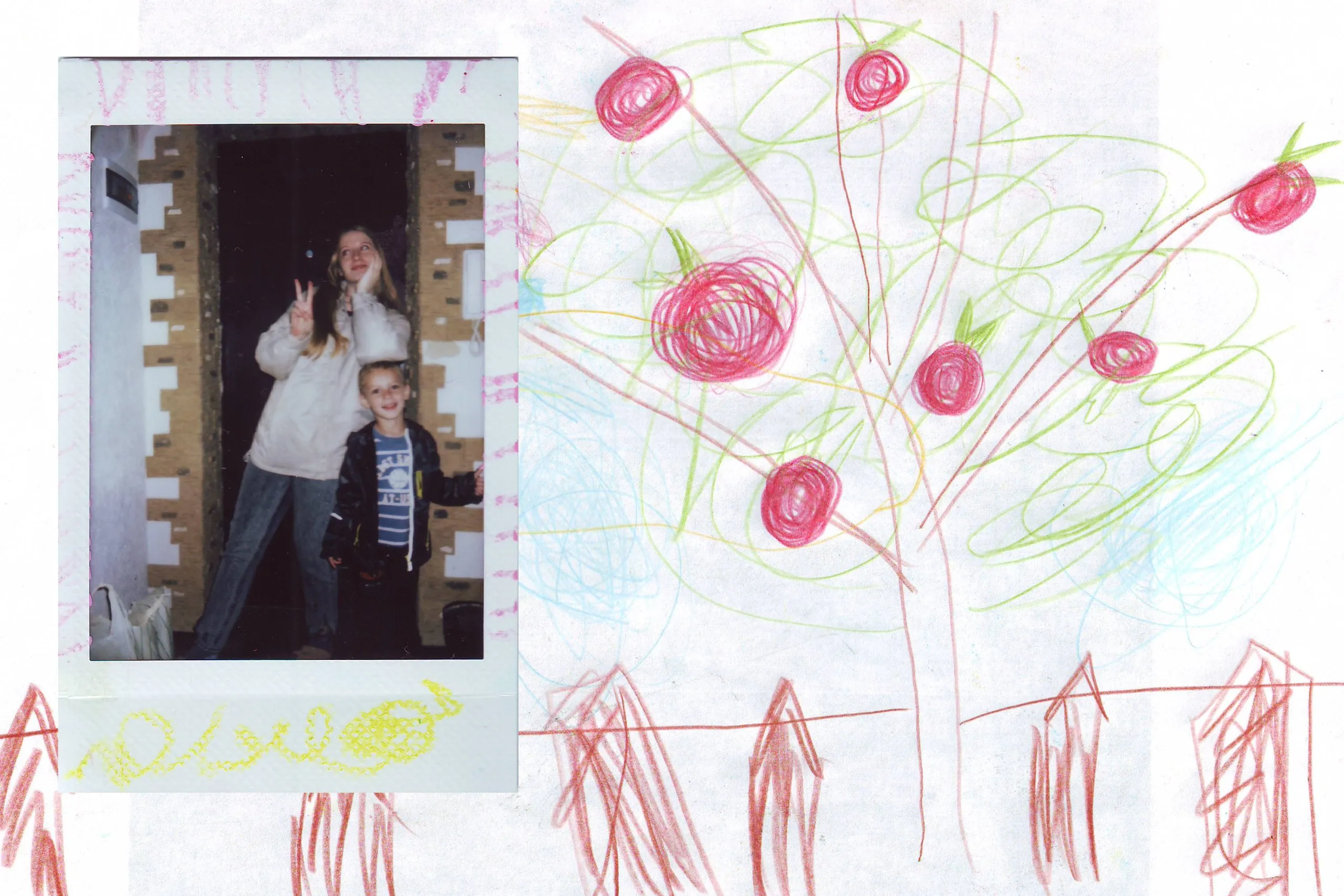 Drawing of roses with a polaroid