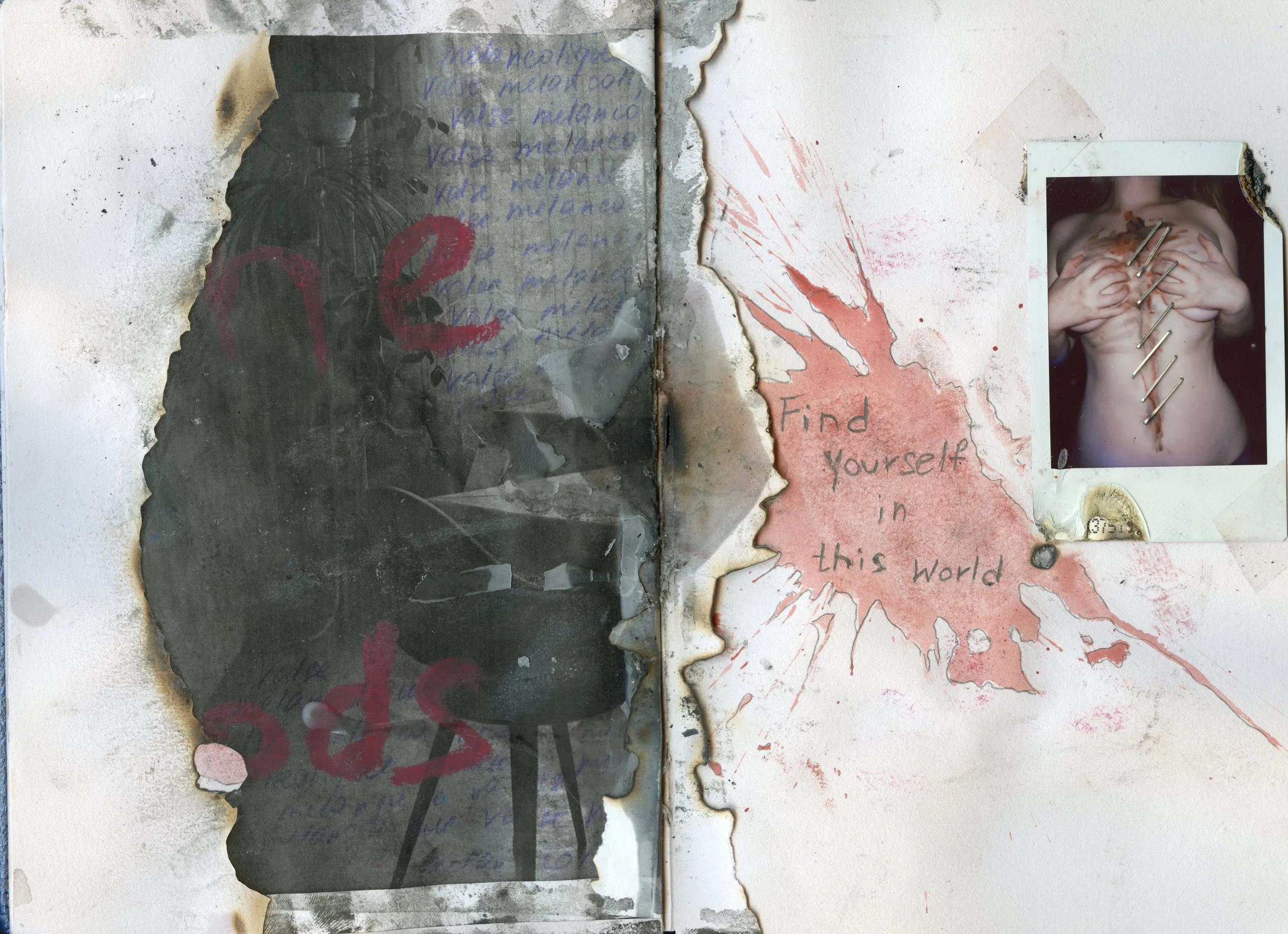 Burnt spread with a polaroid and the words Find yourself in this world