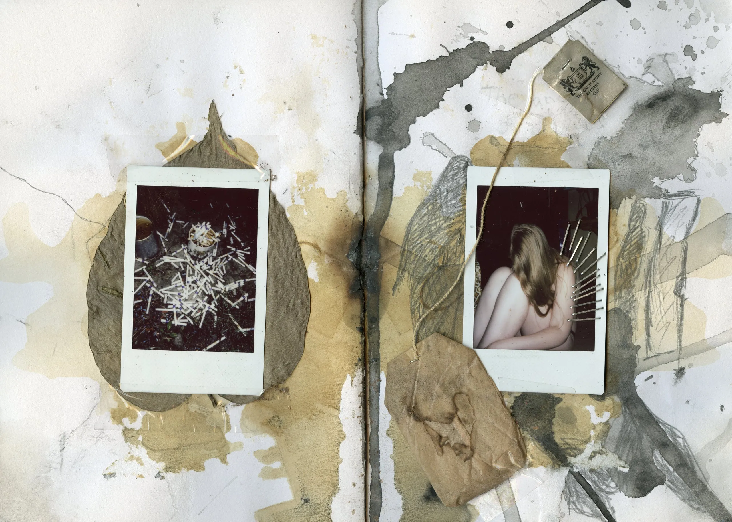 Pressed flowers and two polaroids