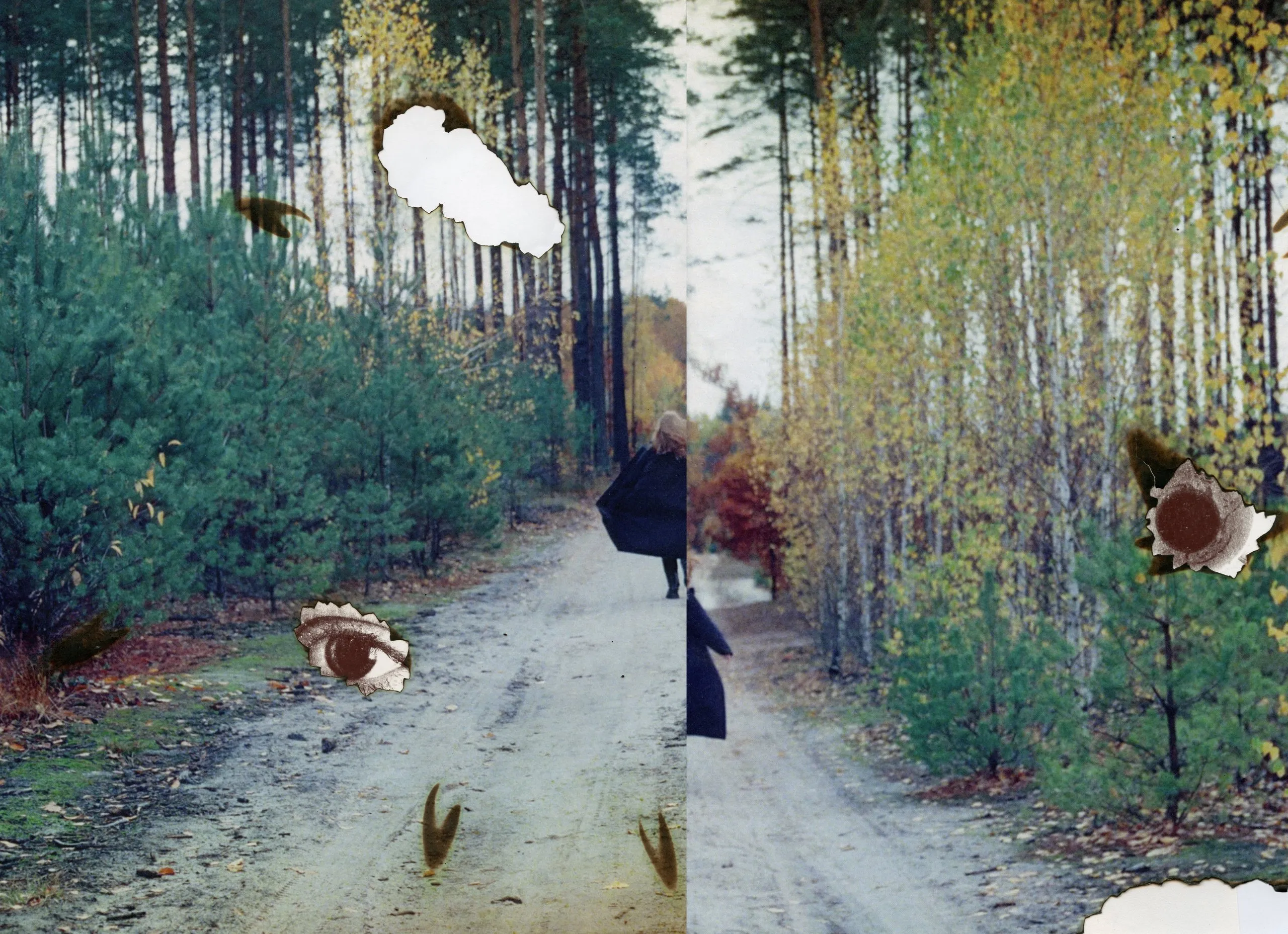 Collage of a forest road with petals and a figure
