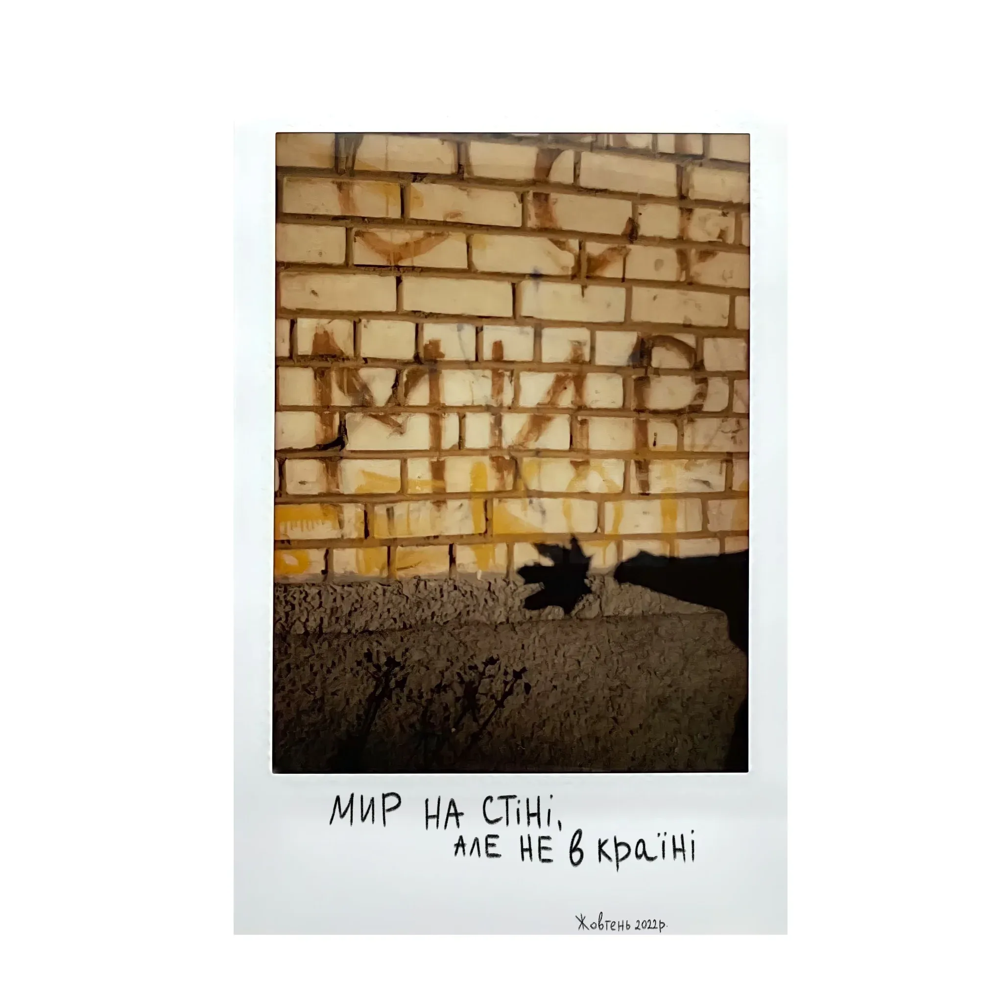 Polaroid of the word peace written on a brick wall