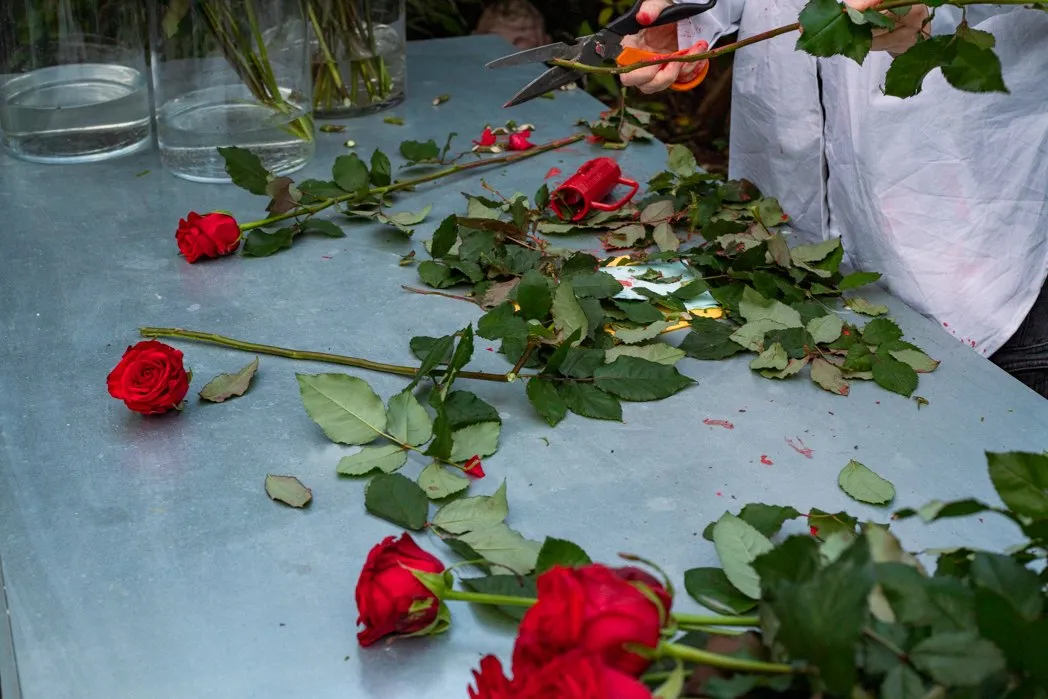 Roses and petals scattered across the table