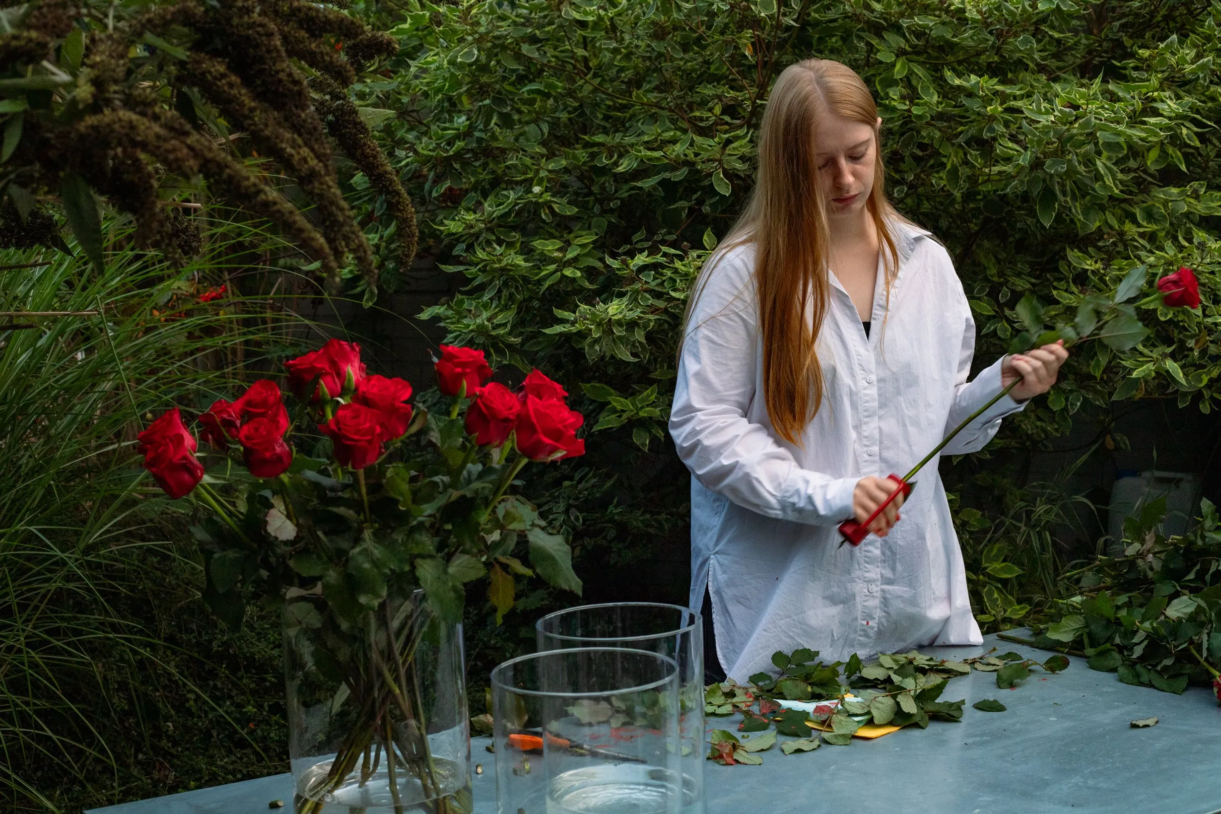 The artist stripping a rose at a table full of red roses