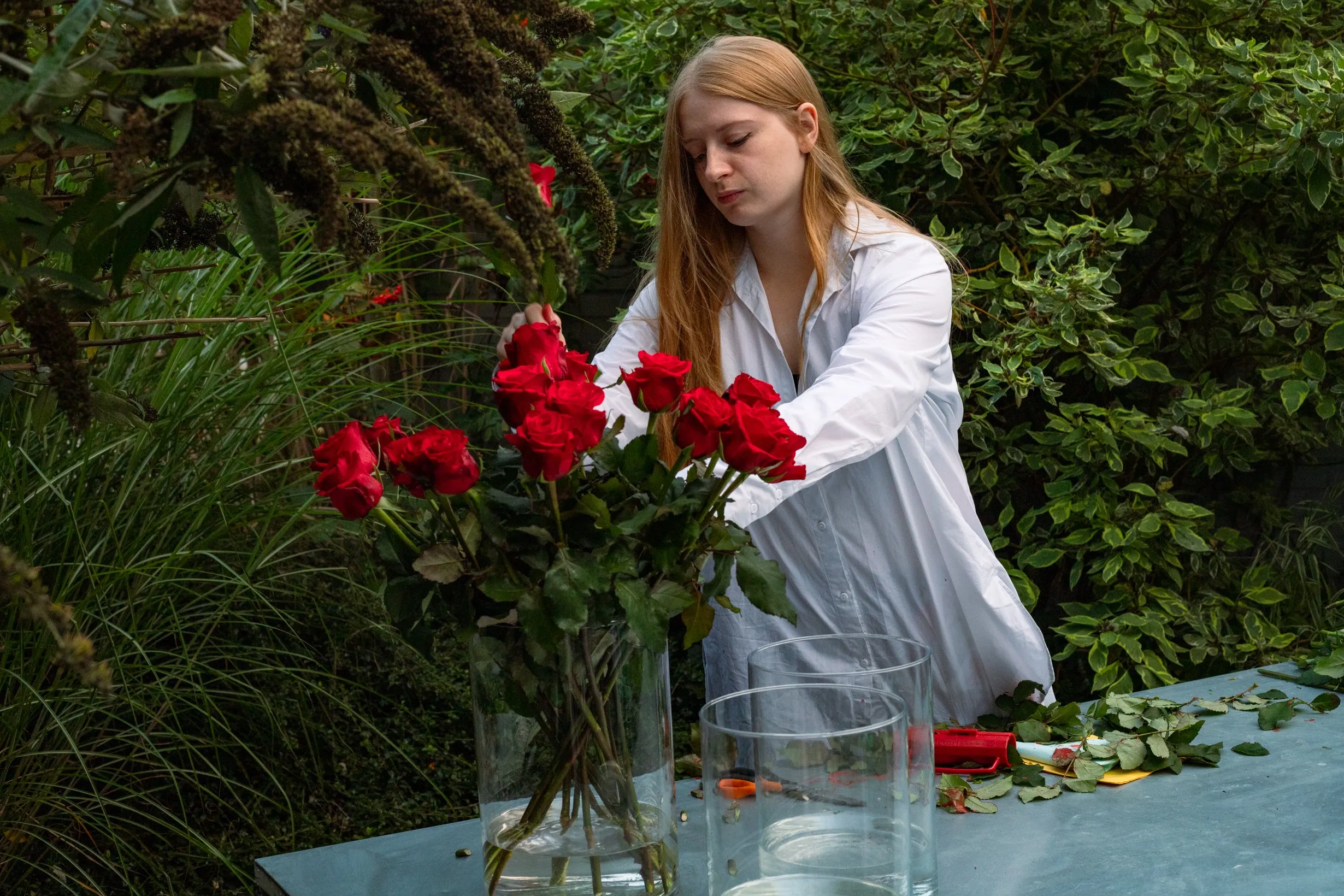 The artist arranging red roses in glass vases