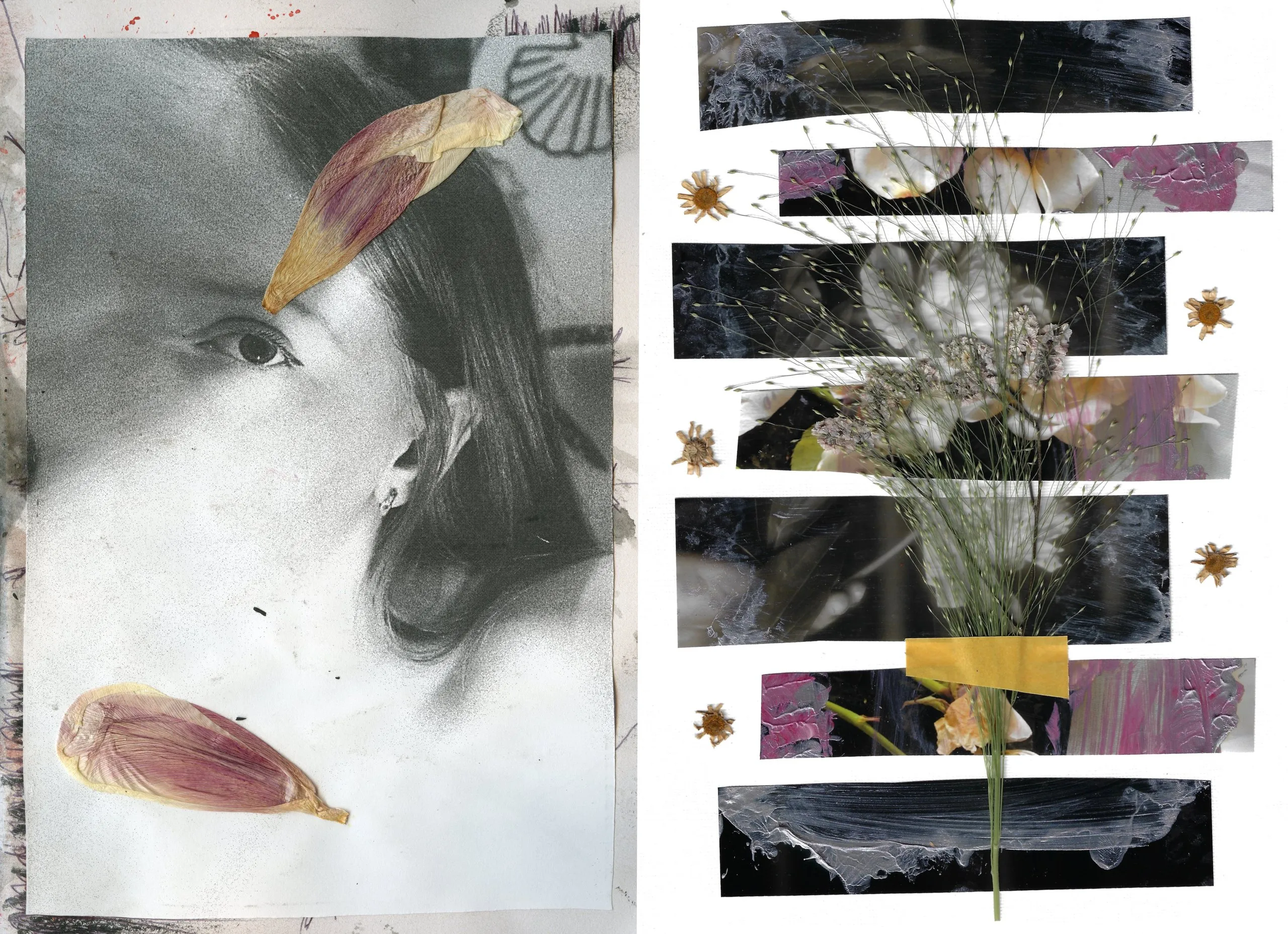 Collage of a portrait with petals and strips of flower photographs