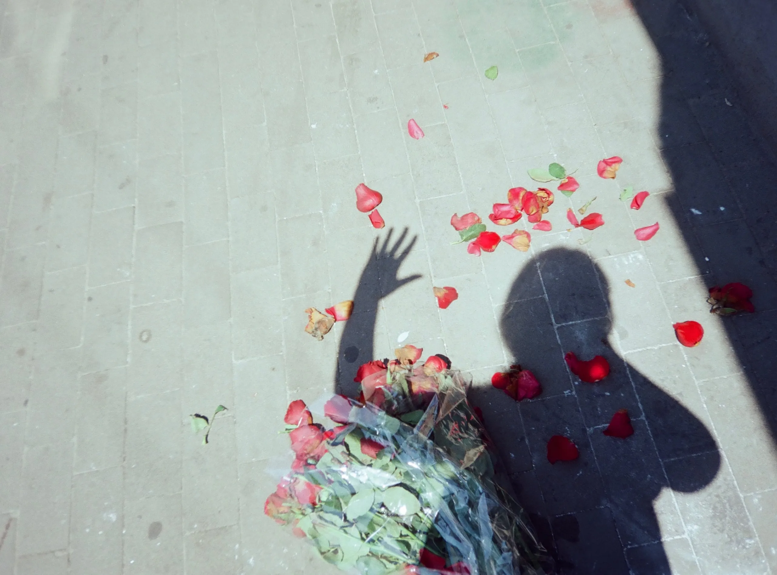 Shadow of the artist throwing petals