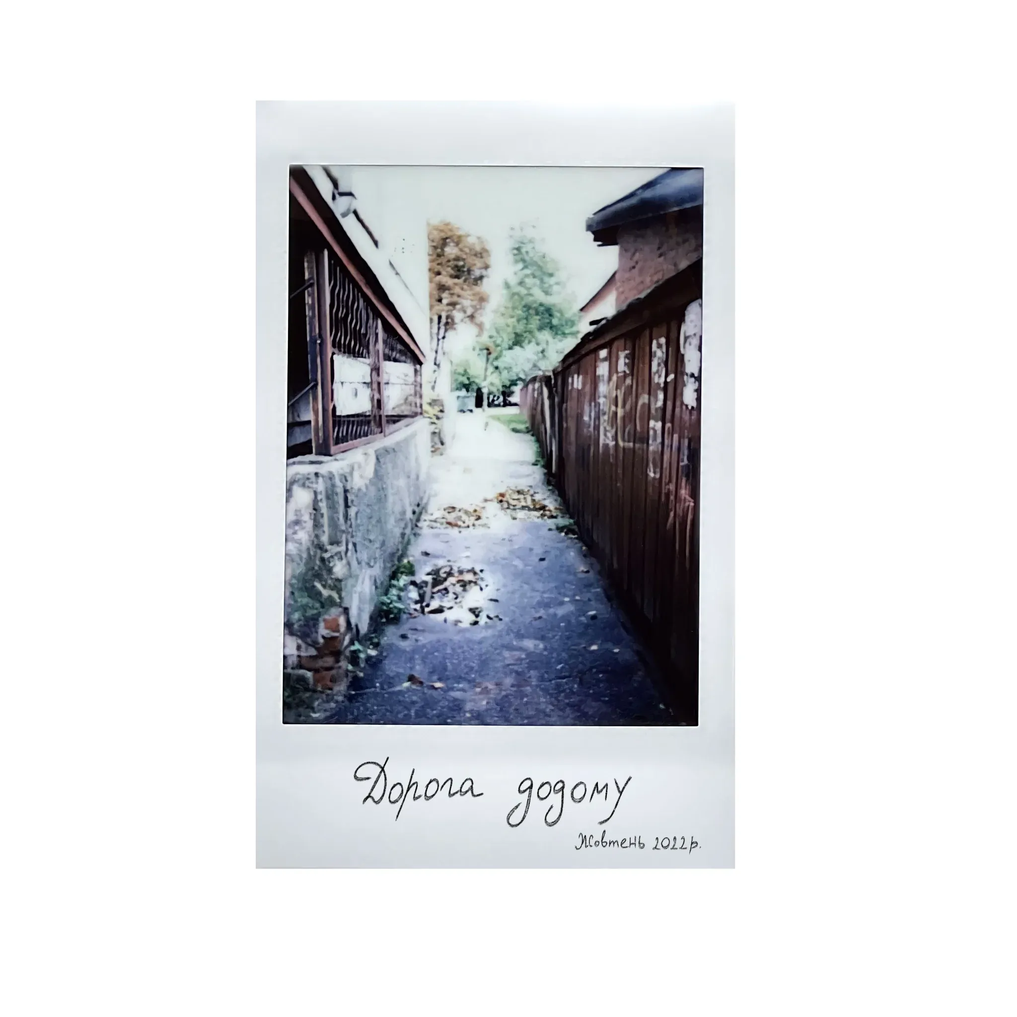 Polaroid of a narrow lane between fences